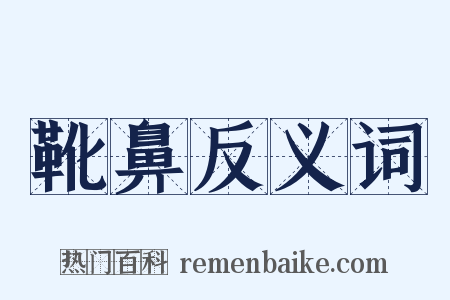 靴鼻反义词是什么意思的图片
